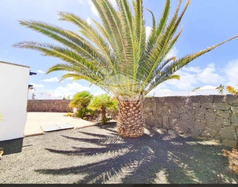 פלאיה בלנקה Villa Angelina מראה חיצוני תמונה